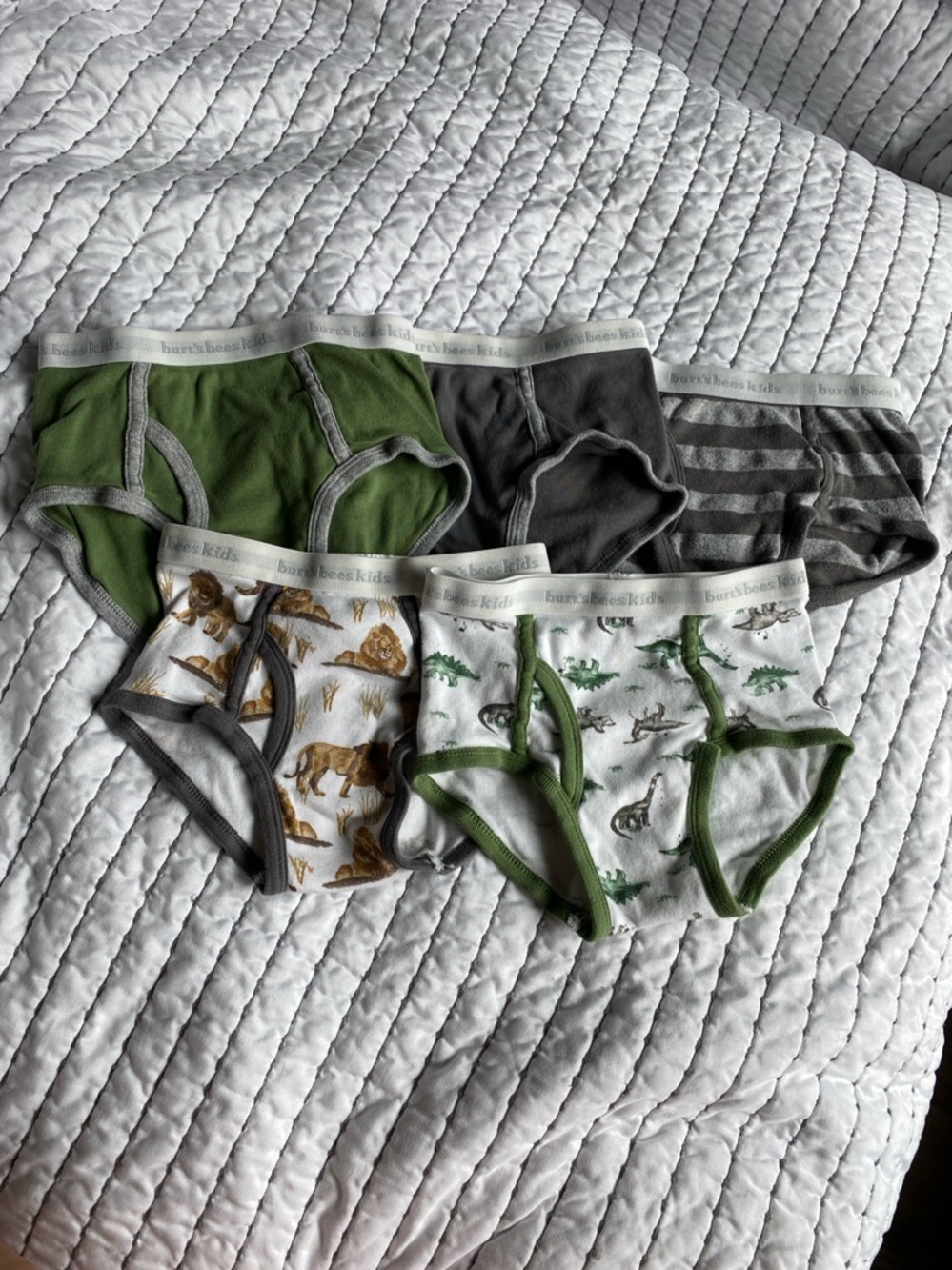 Burt’s Bees Kids - 100% organic cotton boys briefs / underwear